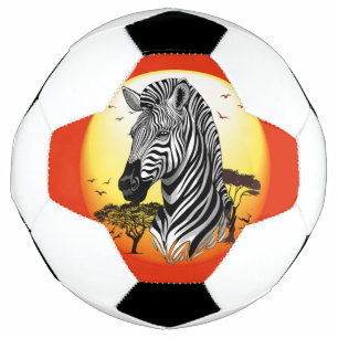Zebra African Savanna Wild Animal