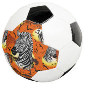 Zebra African Savanna Wild Animal (3/4)