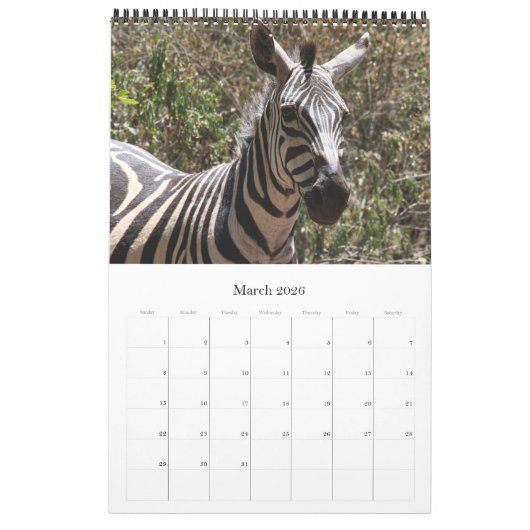 zebra afrika kalender (Mar 2026)