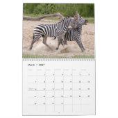 Zebra agenda, Zebras Kalender (Mar 2027)