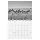 Zebra animal B/W Kalender (Jan 2027)