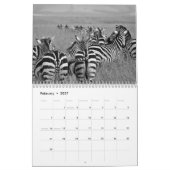 Zebra animal B/W Kalender (Feb 2027)