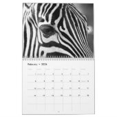 Zebra animal B/W Kalender (Feb 2026)