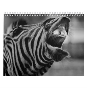 Zebra animal B/W Kalender