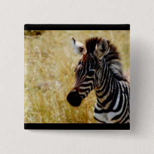 Zebra baby voor wilde dieren vierkante button 5,1 cm