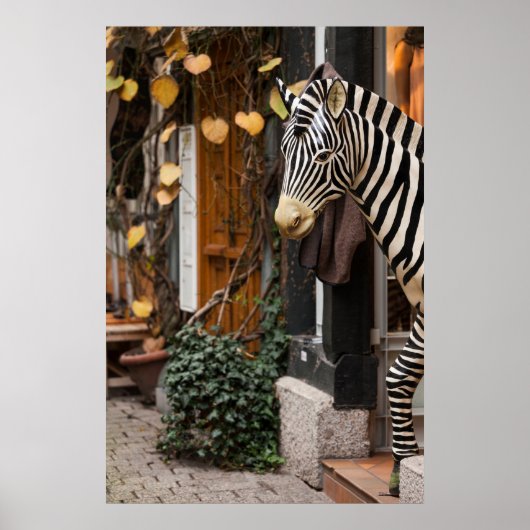 Zebra Beeld in Winkel, Duitsland Poster (Voorkant)