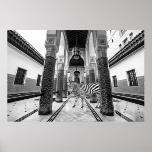 Zebra Black White Building Landschap Poster