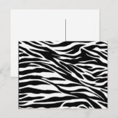 zebra; blanco briefkaart (Voorkant / Achterkant)