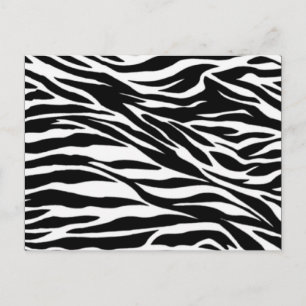 zebra; blanco briefkaart
