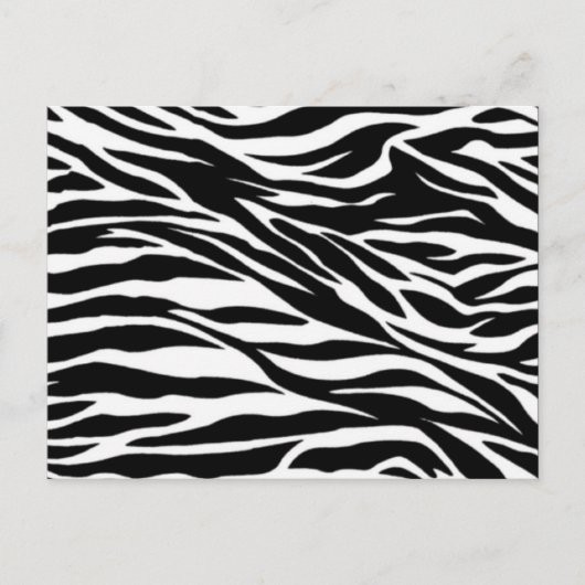 zebra; blanco briefkaart (Voorkant)