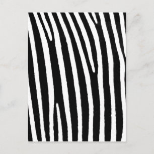 Zebra Briefkaart