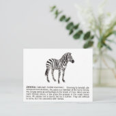zebra briefkaart (Staand voorkant)