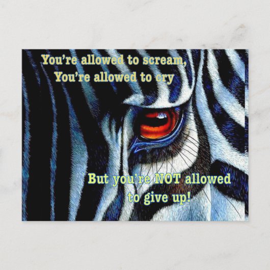 Zebra briefkaart (Voorkant)