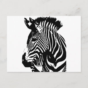 Zebra Briefkaart