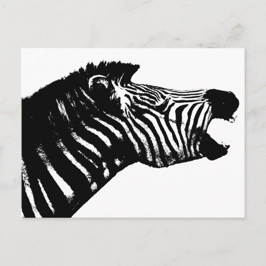 Zebra Briefkaart (Voorkant)