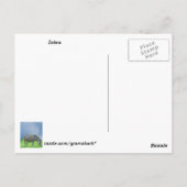 Zebra Briefkaart (Achterkant)