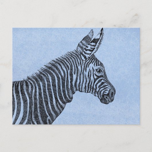Zebra Briefkaart (Voorkant)