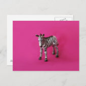 ZEBRA-Briefkaart Briefkaart (Voorkant / Achterkant)