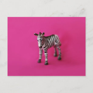 ZEBRA-Briefkaart Briefkaart
