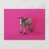 ZEBRA-Briefkaart Briefkaart (Voorkant)