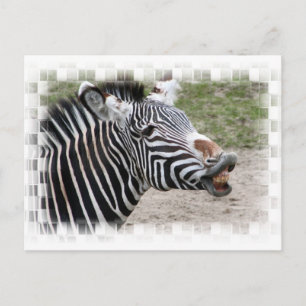 Zebra Briefkaart glimlachen