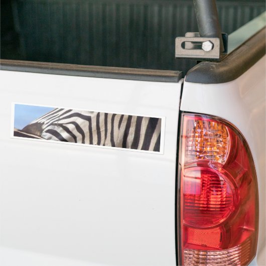 Zebra Bumpersticker (Op Truck)