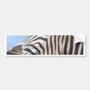 Zebra Bumpersticker