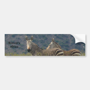 Zebra Bumpersticker