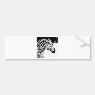 Zebra Bumpersticker