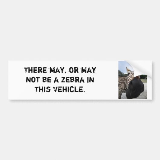 Zebra Bumpersticker - Grappig! (Voorkant)