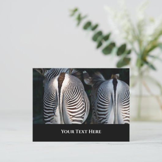 Zebra Butts Funny Wildlife Briefkaart (Staand voorkant)