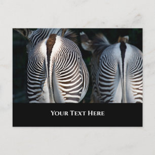 Zebra Butts Funny Wildlife Briefkaart
