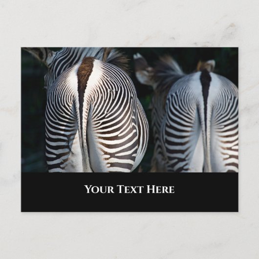 Zebra Butts Funny Wildlife Briefkaart (Voorkant)