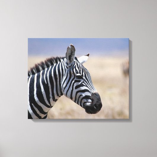 Zebra Canvas Afdruk (Voorkant)