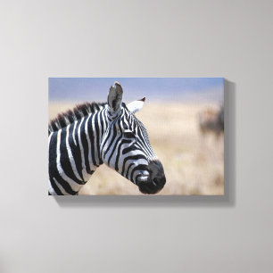 Zebra Canvas Afdruk