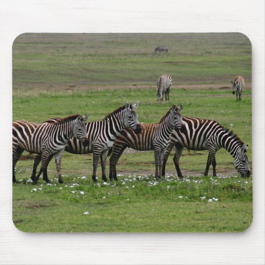 Zebra Clan Muismat (Voorkant)