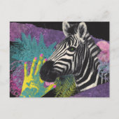 Zebra Collage Briefkaart (Voorkant)