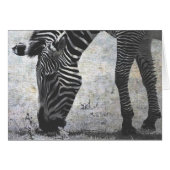 Zebra Crackle (Devant horizontal)