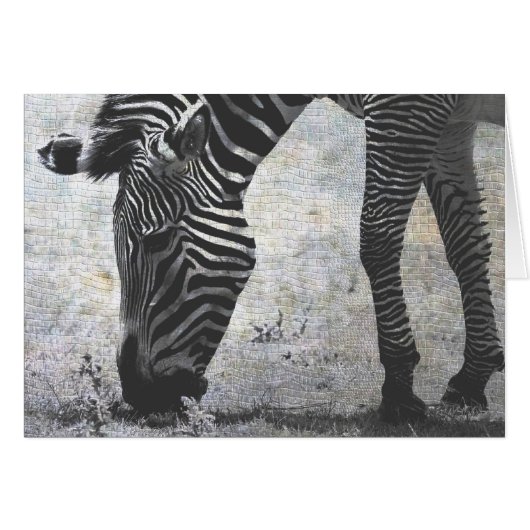 Zebra Crackle (Devant horizontal)
