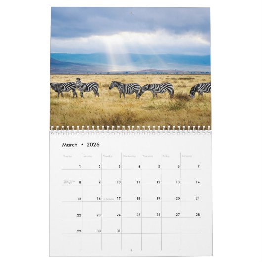 Zebra dierenkalender kalender (Mar 2026)