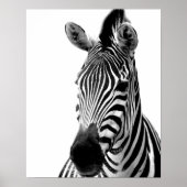 Zebra dierfoto van wild oerwoud zwart-wit poster (Voorkant)