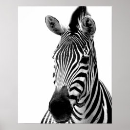 Zebra dierfoto van wild oerwoud zwart-wit poster