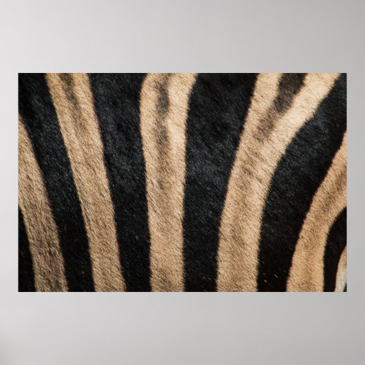ZEBRA DIERLIJKE AFDRUKSTSTRIPE POSTER (Voorkant)