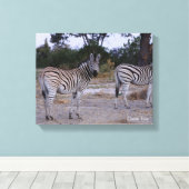 Zebra Double Take Photo Canvas Afdruk (Insitu (Houten vloer))