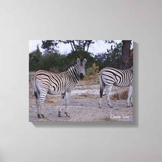 Zebra Double Take Photo Canvas Afdruk (Voorkant)