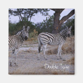 Zebra Double Take Photo Magneet (Voorkant)