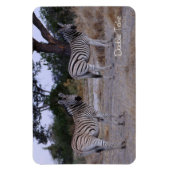 Zebra Double Take Photo Magneet (Verticaal)