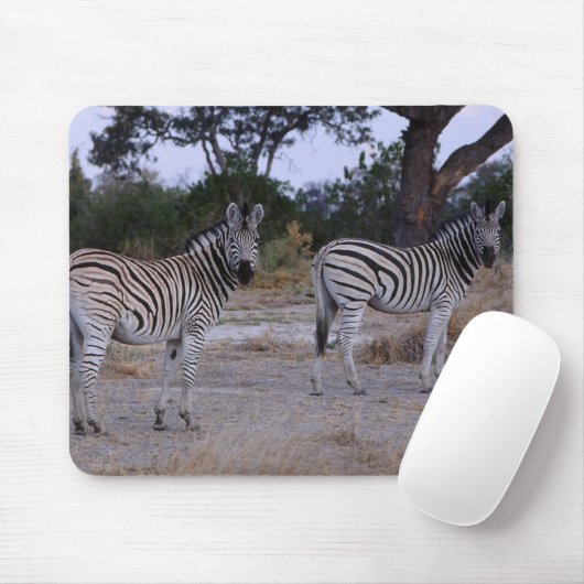Zebra Double Take Photo Muismat (Met muis)
