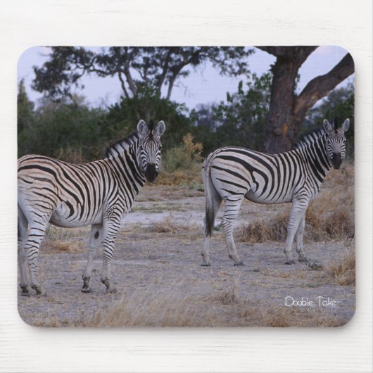 Zebra Double Take Photo Muismat (Voorkant)
