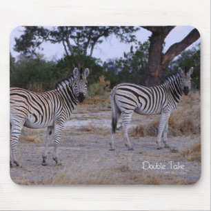 Zebra Double Take Photo Muismat